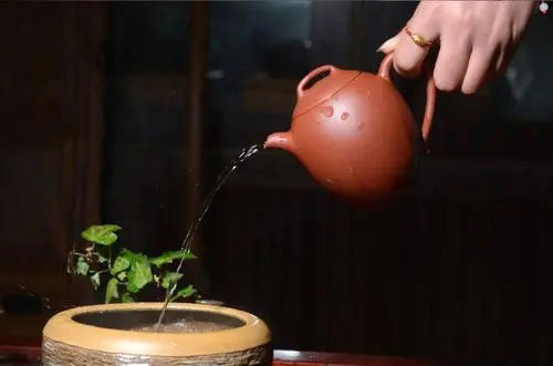 紫砂壶泡茶出汤时间要多久