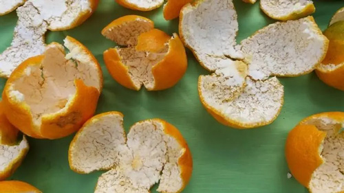 做陈皮的是什么橘子