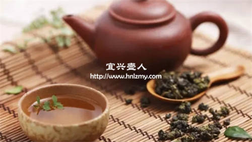 紫砂壶适合泡什么茶最好