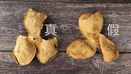 陈皮鉴别